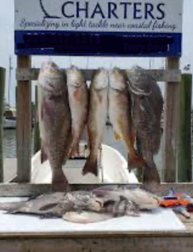 Feels Like Home Escape, 1/2 Mile To Beach Gulfport Exterior foto
